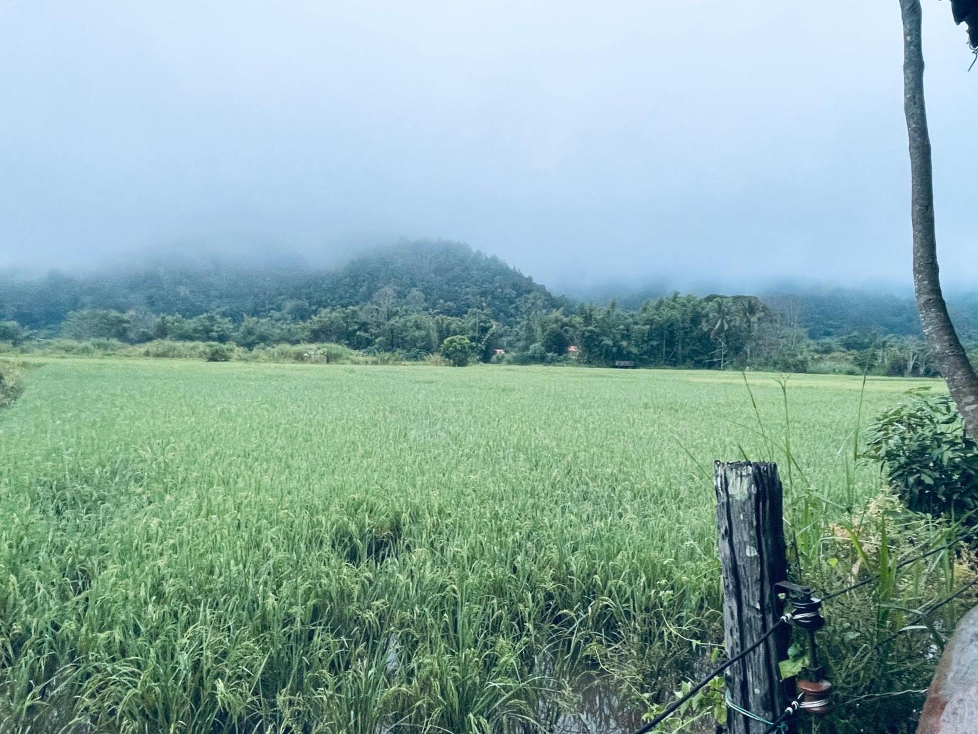 บ้านสวนวิวทุ่ง Ban Mae Sap Nua Екстериор снимка