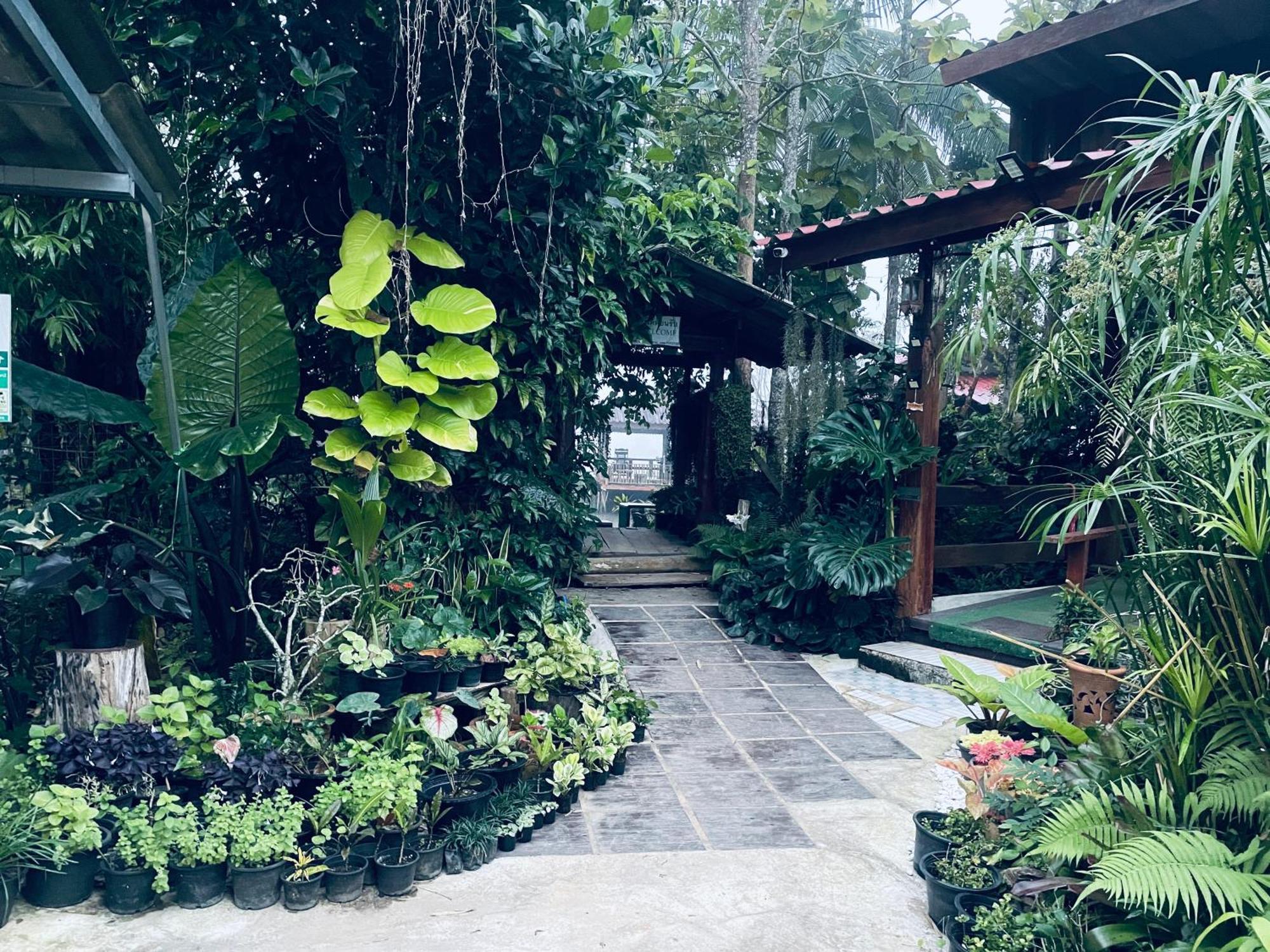 บ้านสวนวิวทุ่ง Ban Mae Sap Nua Екстериор снимка