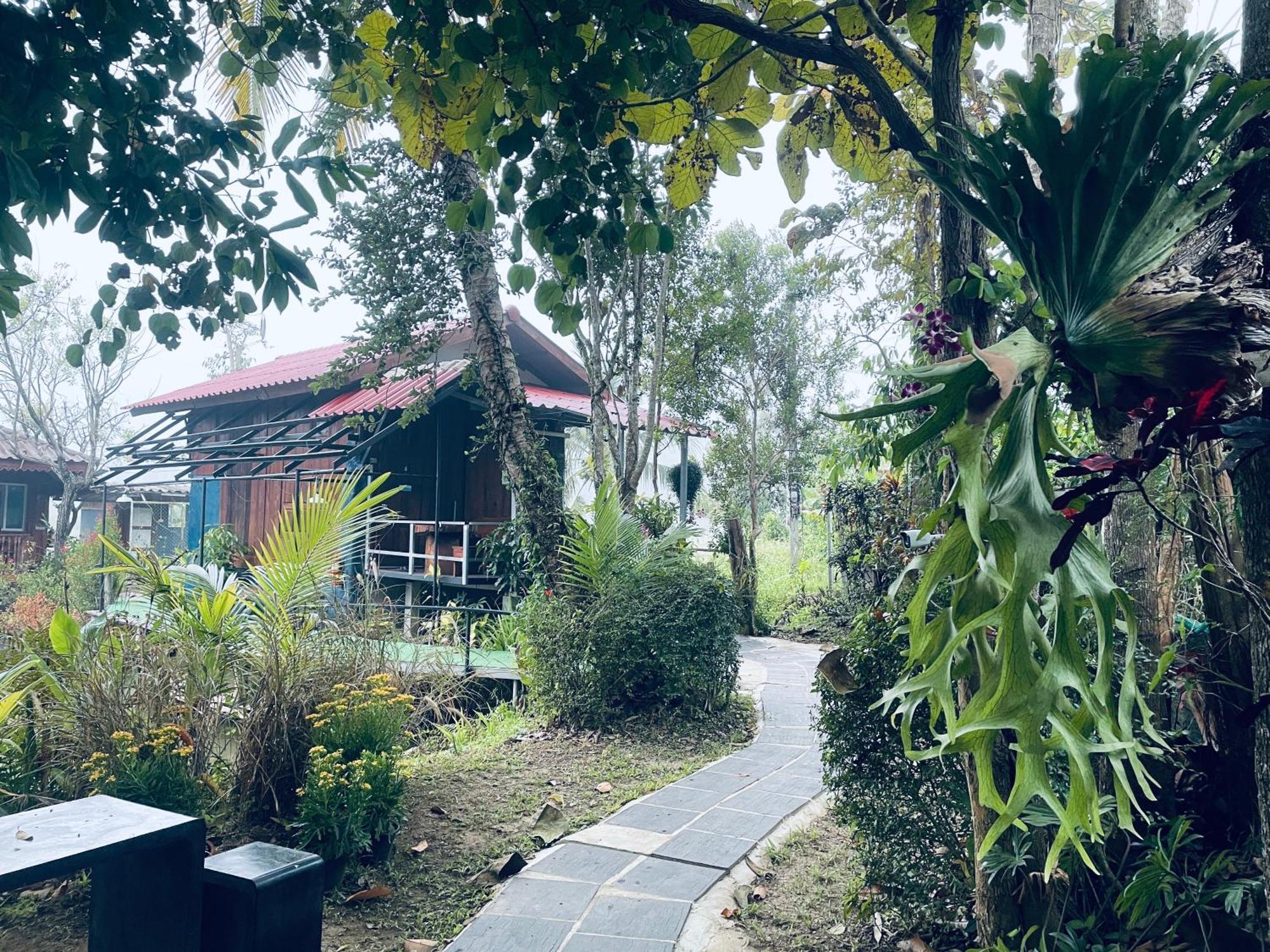 บ้านสวนวิวทุ่ง Ban Mae Sap Nua Екстериор снимка